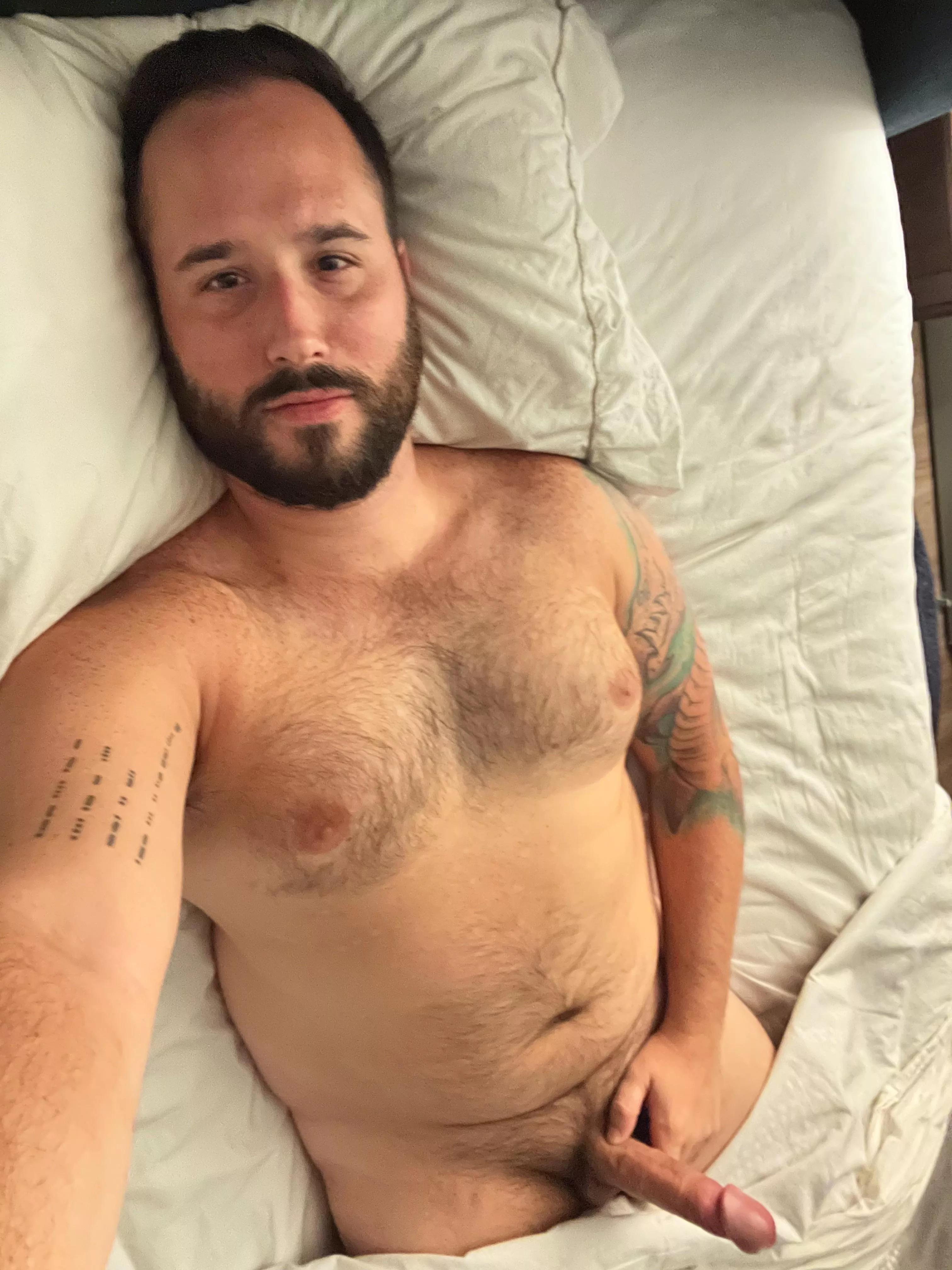 Woke up with some serious wood. posted by bigfurrypig