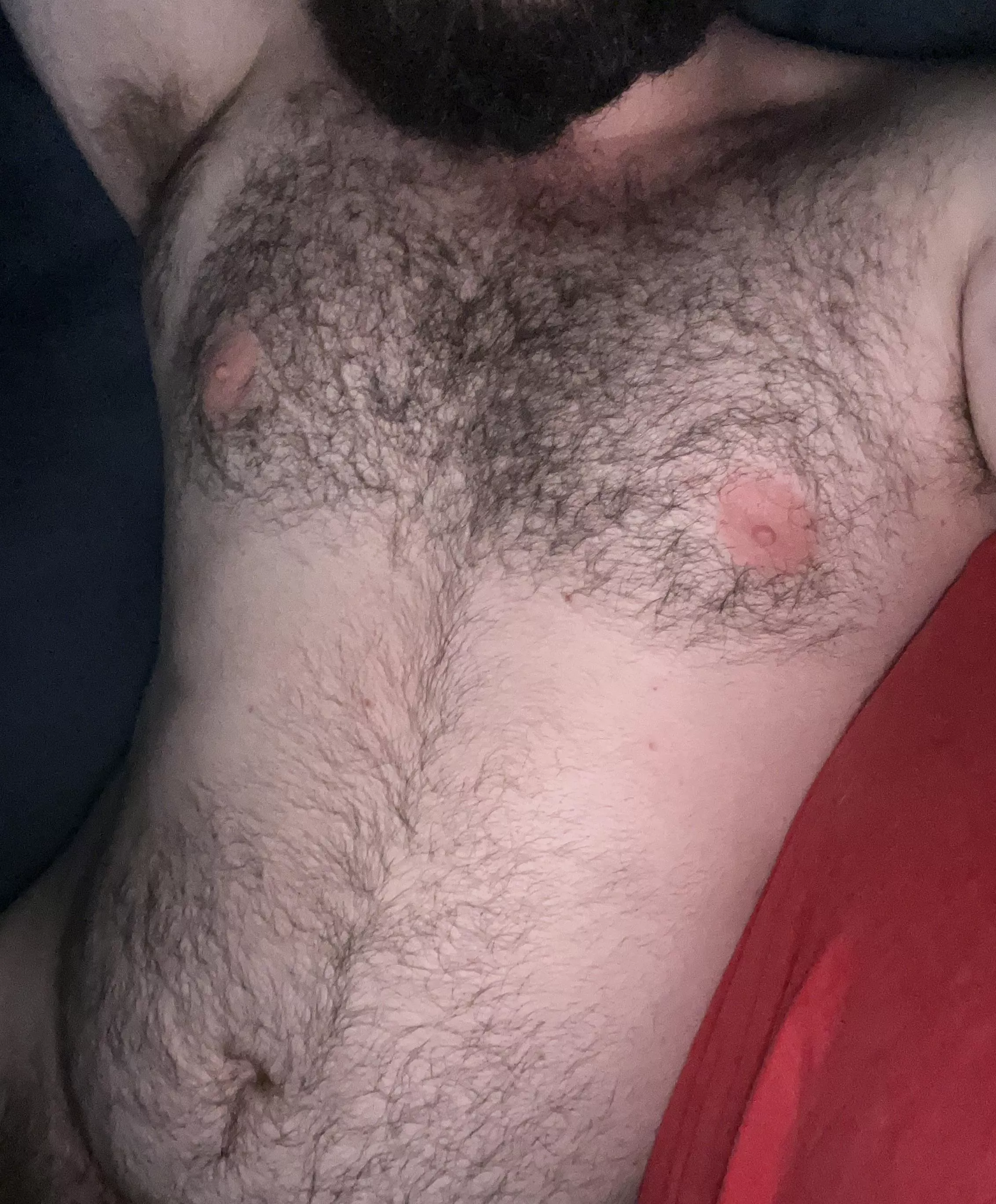 Would you want to see lower ;)? posted by hairybellybear27