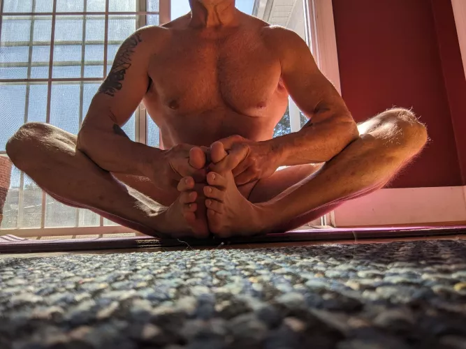 (58) butterfly in the sun by waters_way