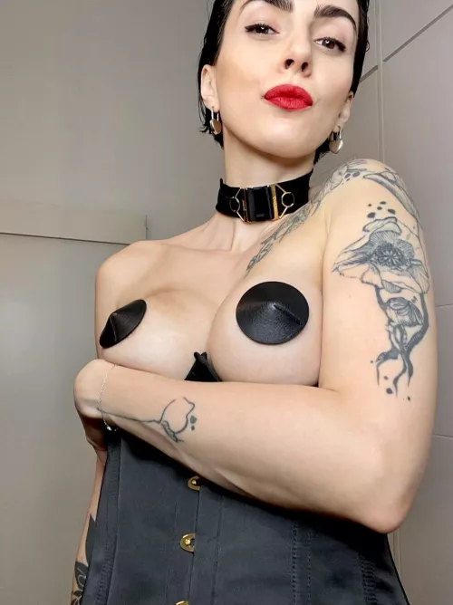 Did you like my new collar ? by FretfulBallet