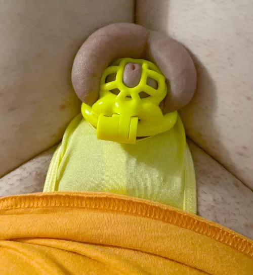 Getting ready for locktober 🎃💀🤫 by Electrical_Map_6831