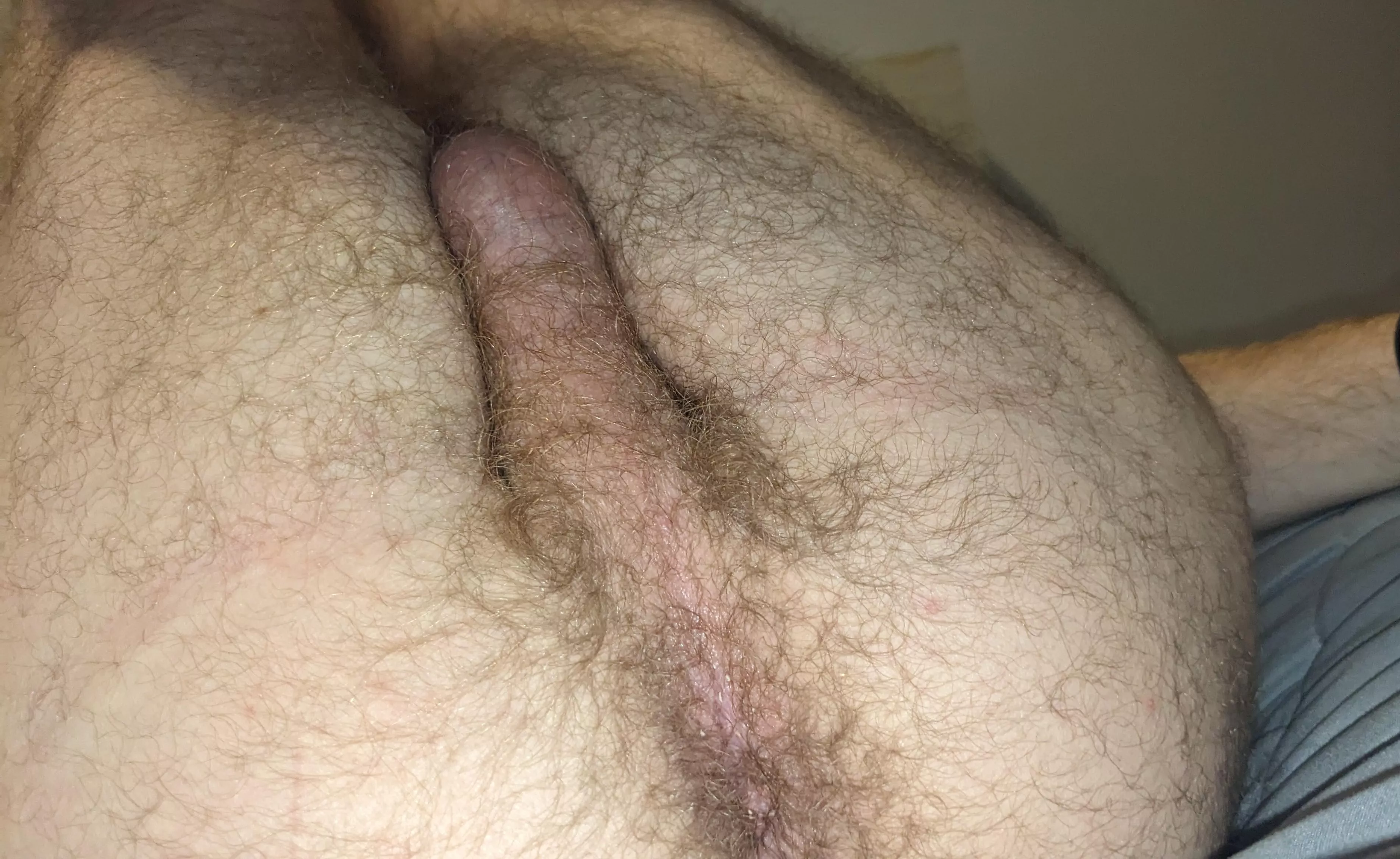 It's hairy and it's gonna stay that way, so you better like it posted by responsive-banana