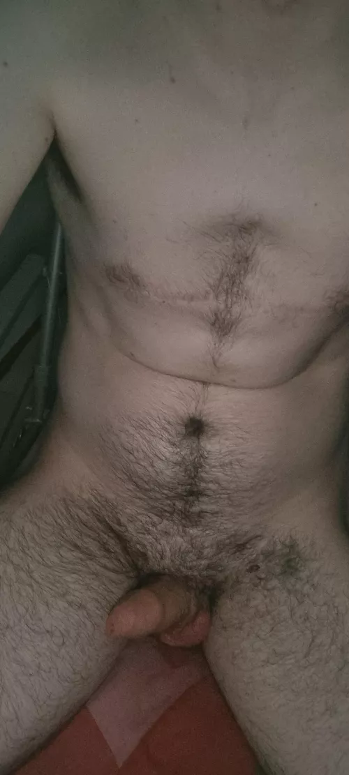 Morning wood by Due_Holiday_417