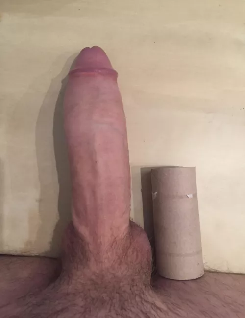 TP roll didn’t even stand a chance by Eastern_Ice_3866