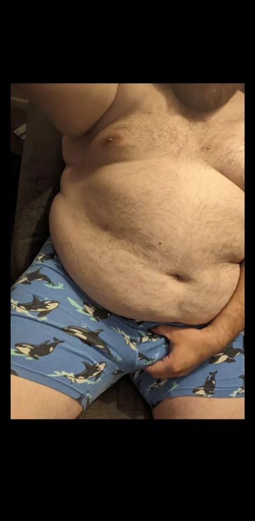 Whales by Next-Connection-9568