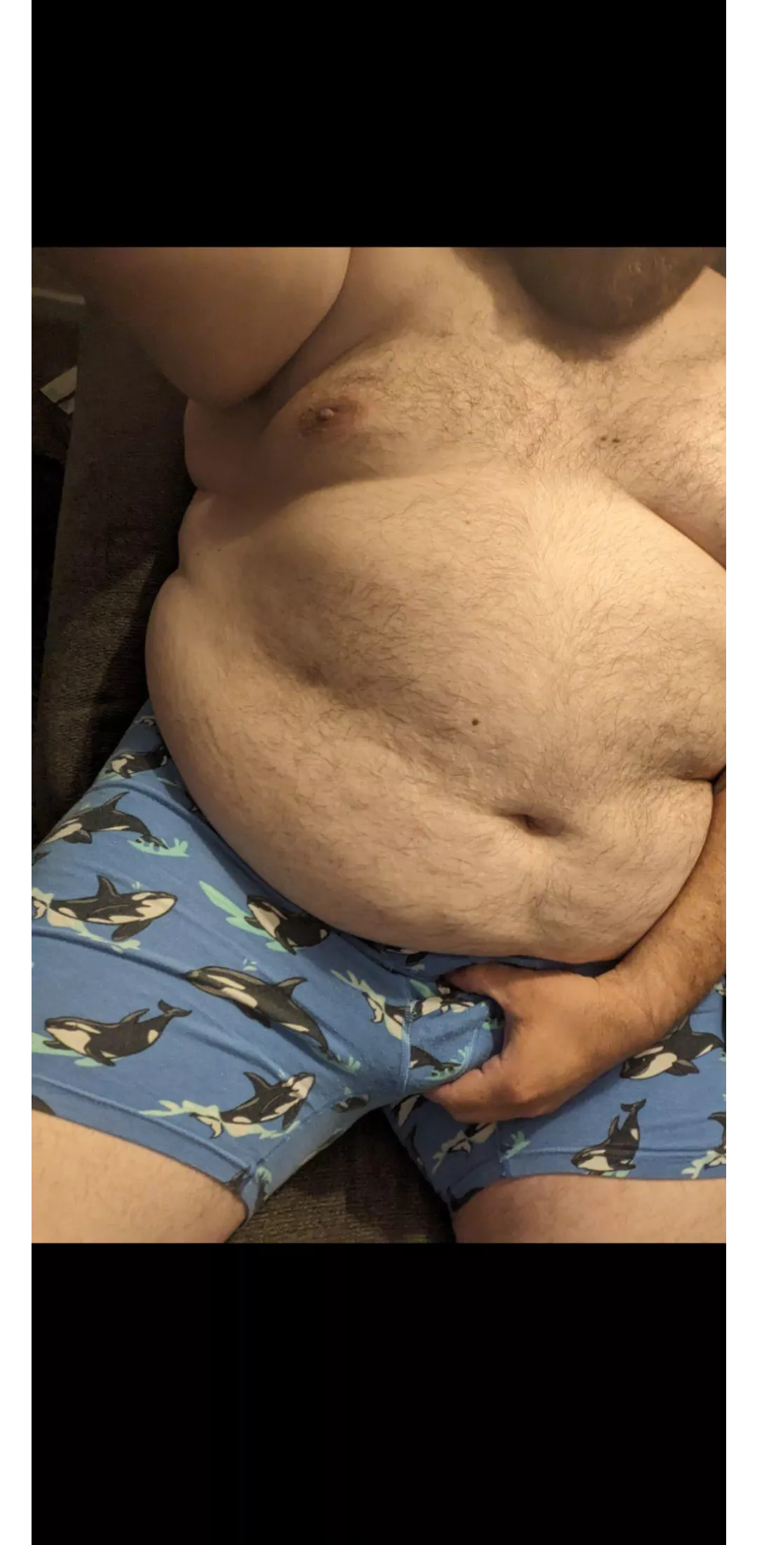 Whales posted by Next-Connection-9568