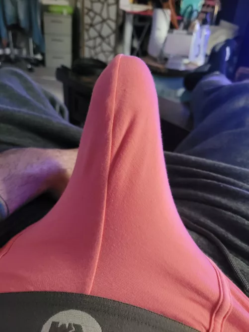 What do you think of my new boxers? by Ok_Tomorrow_8011