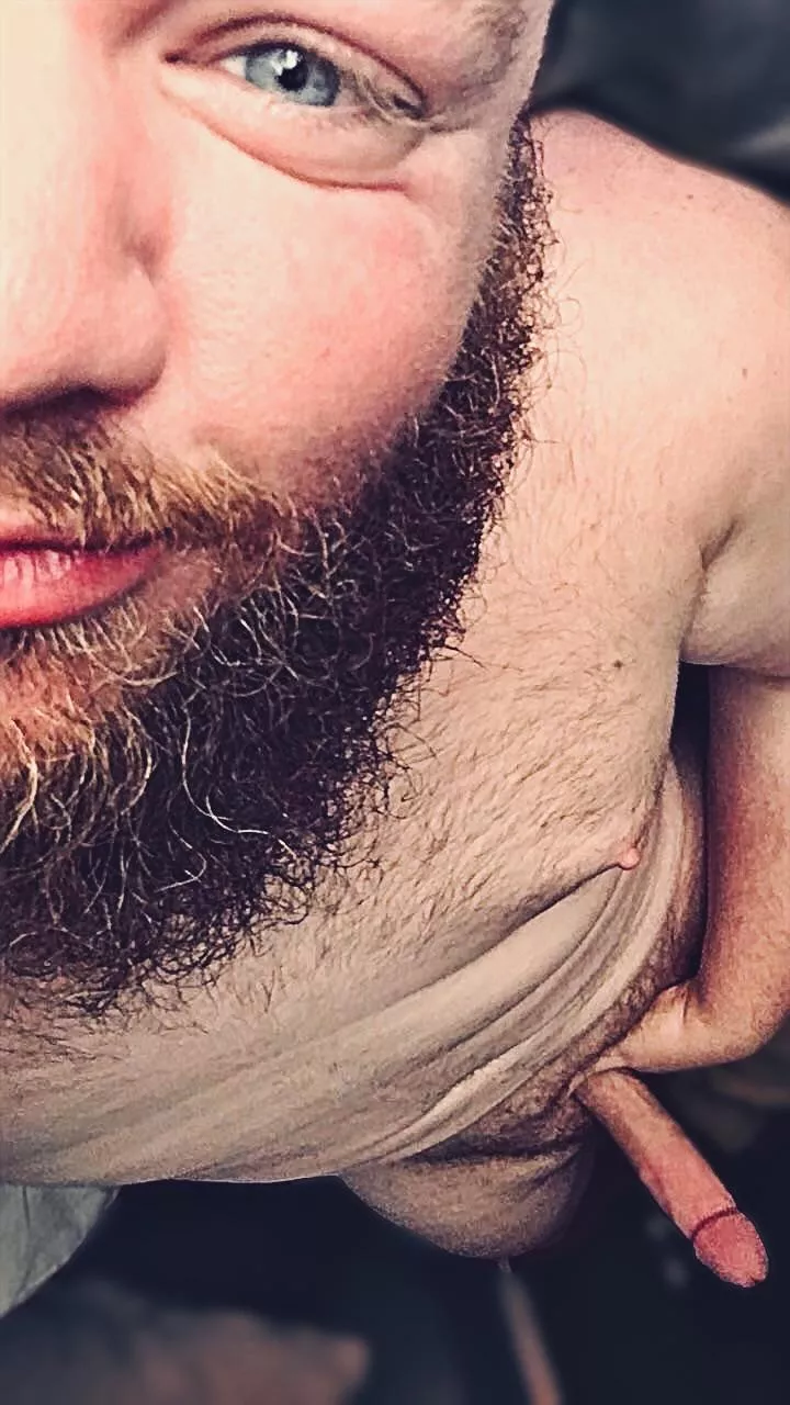 Wood morning, boys (38) posted by bearieeyelash