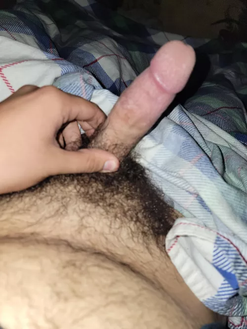 18 hoping to compare with huge cocks. Wanna see how I size up by EducationalOrange310