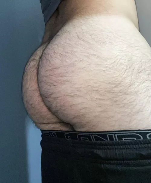 [24] in shape DL bottom with a big furry bubble butt. Need to cum all over myself soon. 😏 DM me by UpsetStructure5120