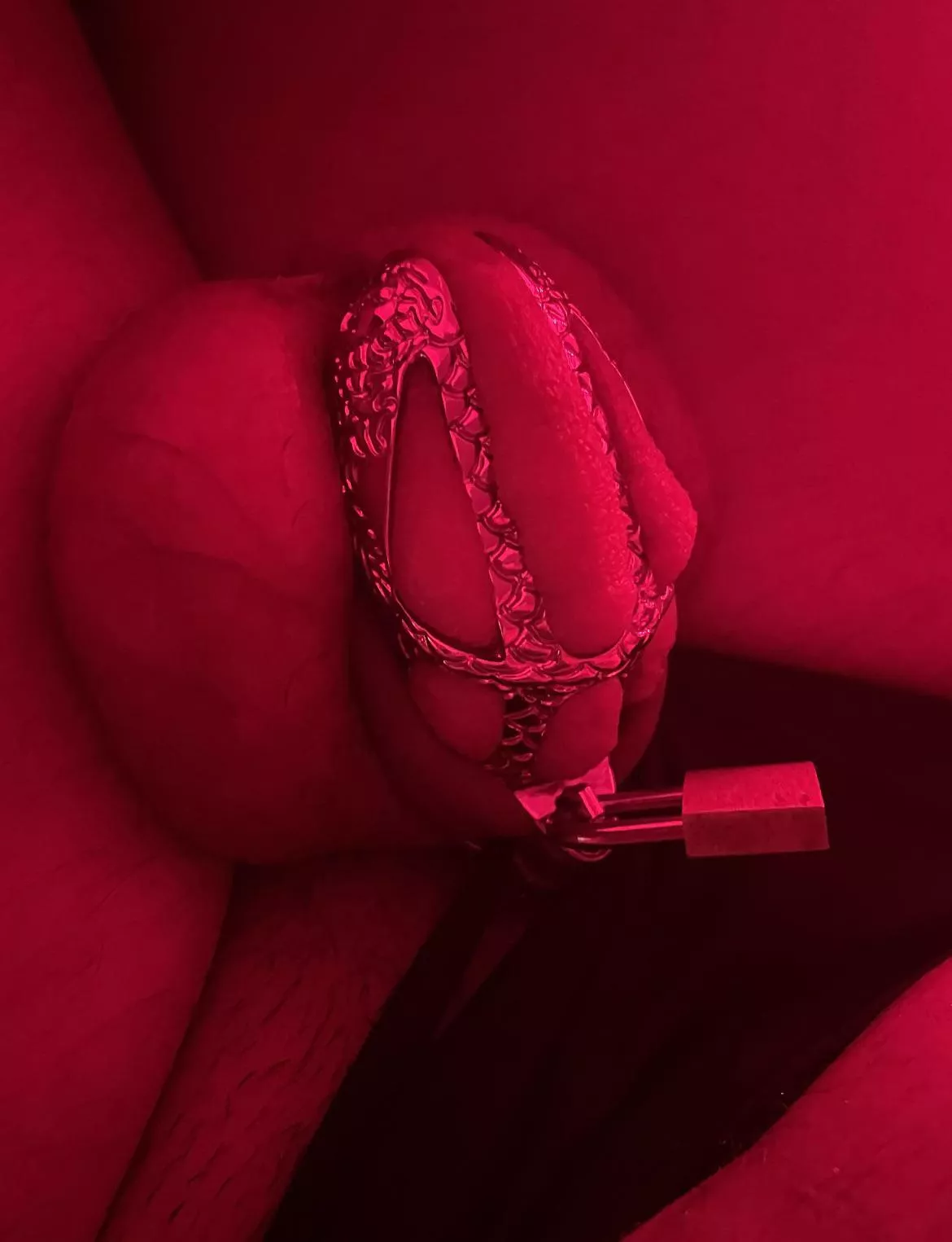 96 hours in chastity.. don’t know how long to stay in.. how do I look? posted by Such-Worldliness-550