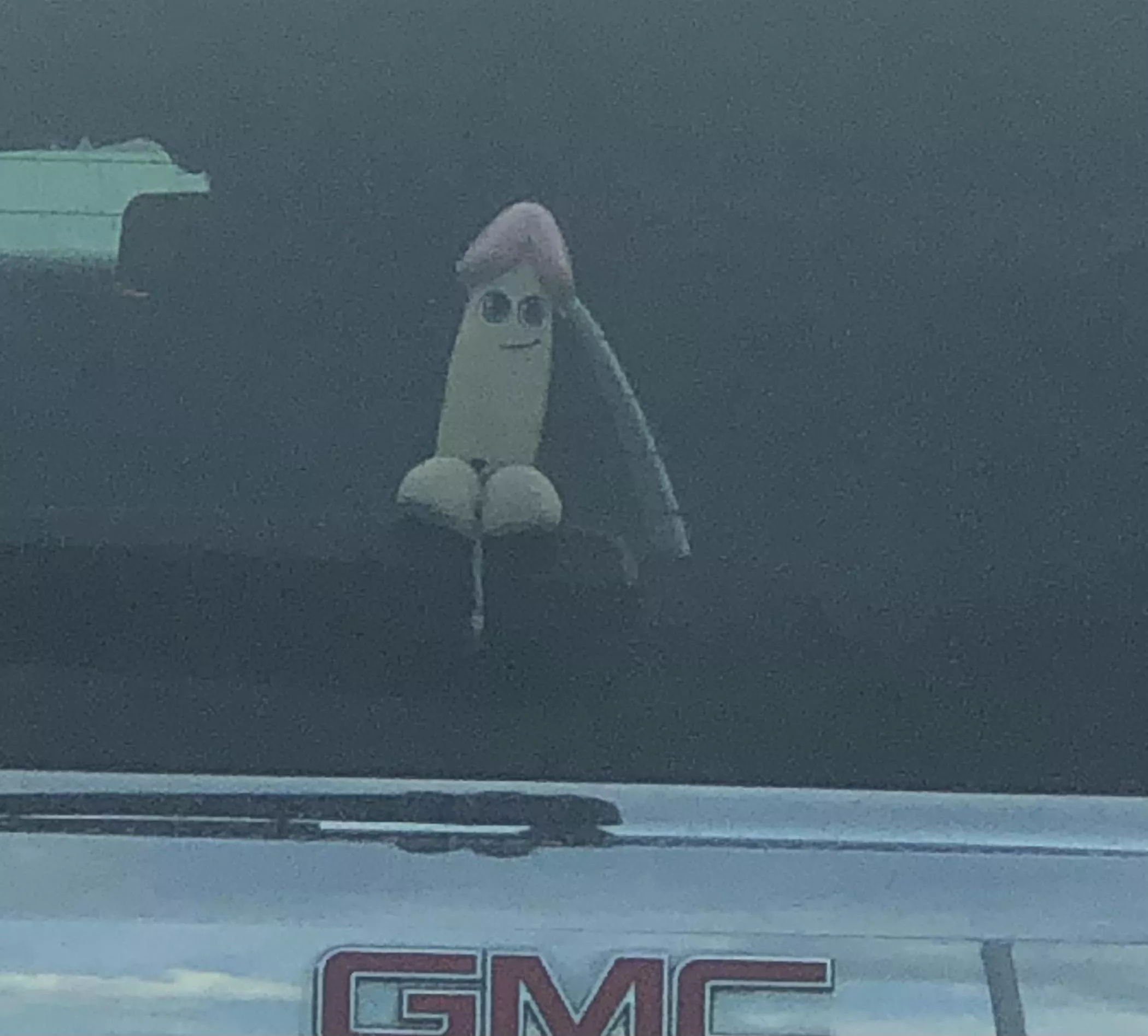 A whole new meaning to GMC posted by Amazingheart0812