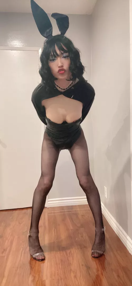 Can we fuck like rabbits? by zaddyplsxoxo