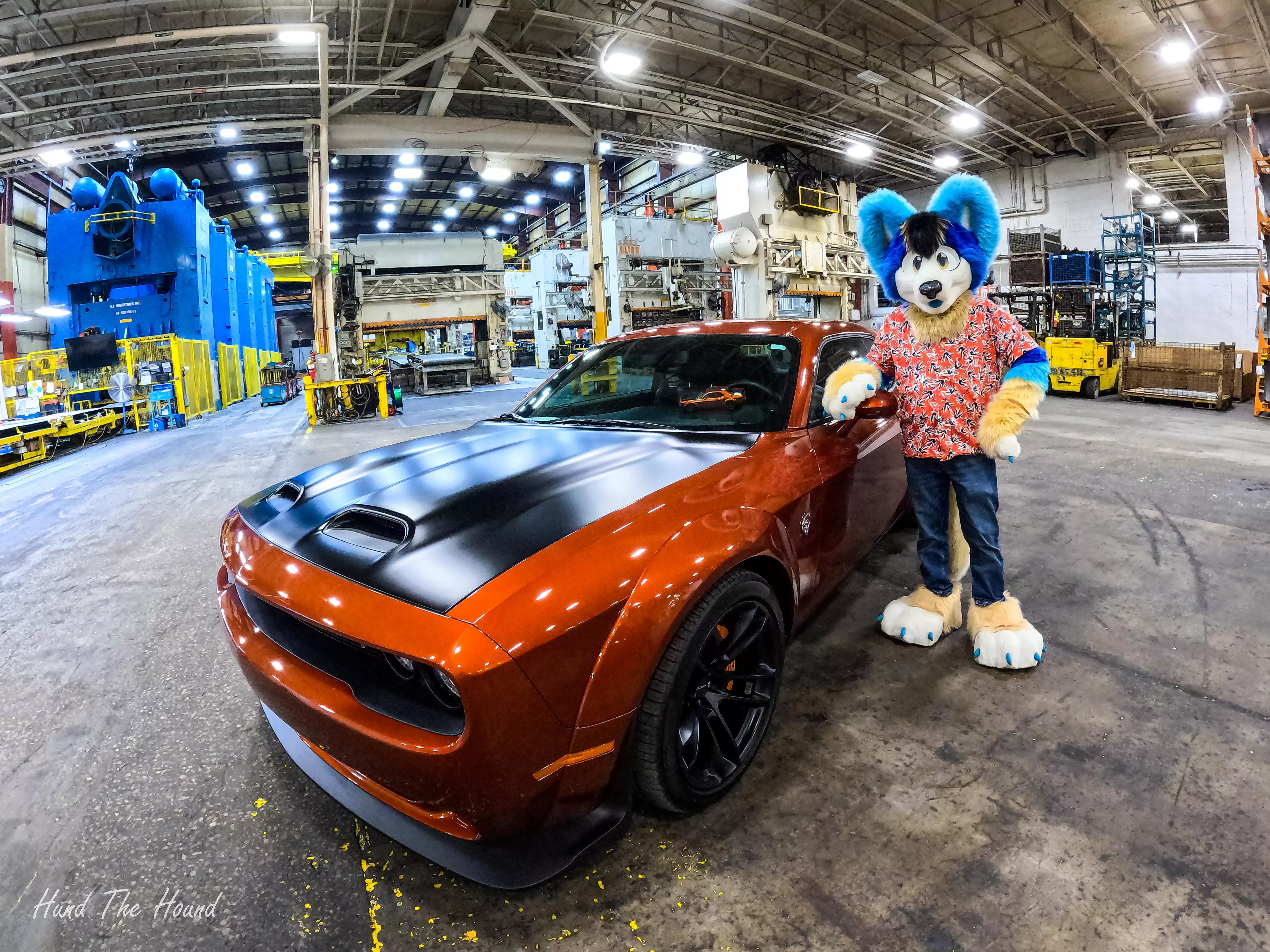 Fursuiting at my works car show, name the car posted by spikes232v2