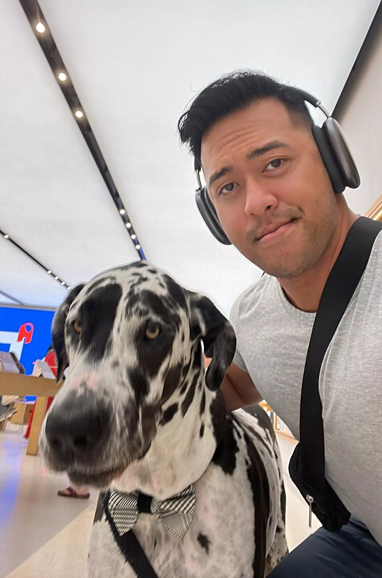 Have a great week, everyone. posted by neosherakles