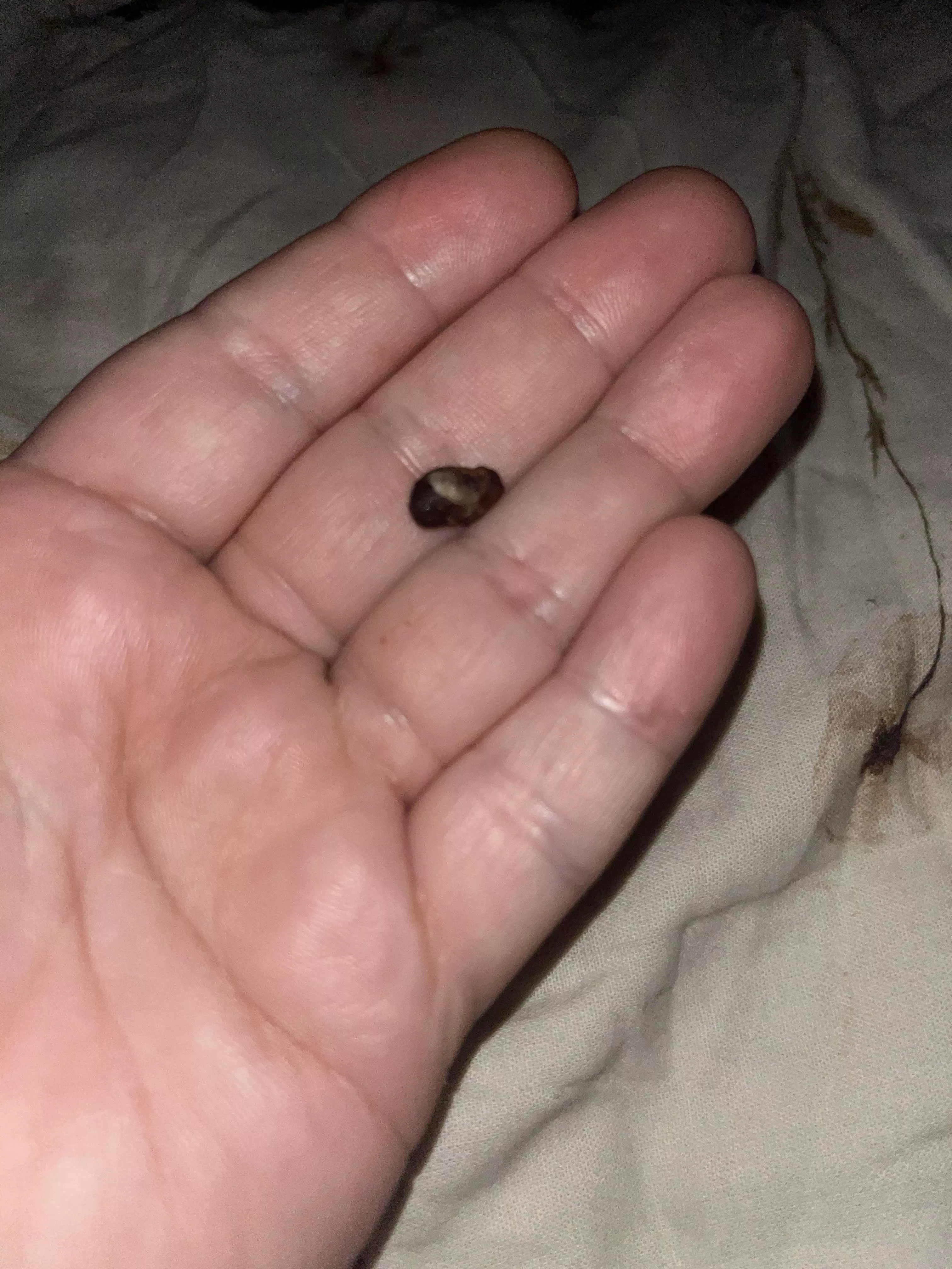 I can finally hear again posted by satanslemons