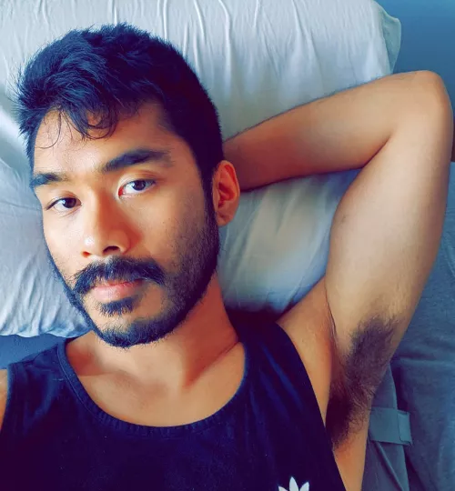 I need a trim by taser9090