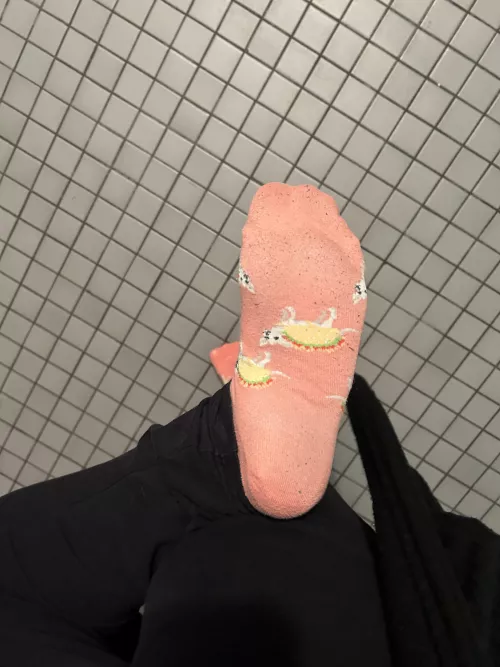 i wonder what these will look like by the end of the day 🥰😻 by jadebaby333