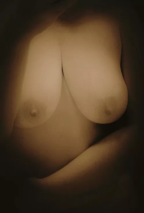 In the spotlight by sausagedog_21