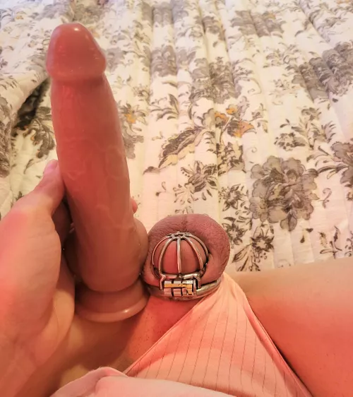 My gf locked me up... I wonder why? by Square-Condition56