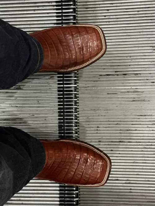 Traveling in style by A_T_Rannals