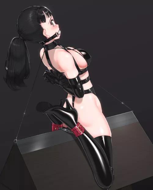 Well, at least she can't lose her balance. by PetGirlsAreBest