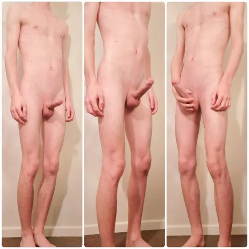 Which is best? by Raytracer5