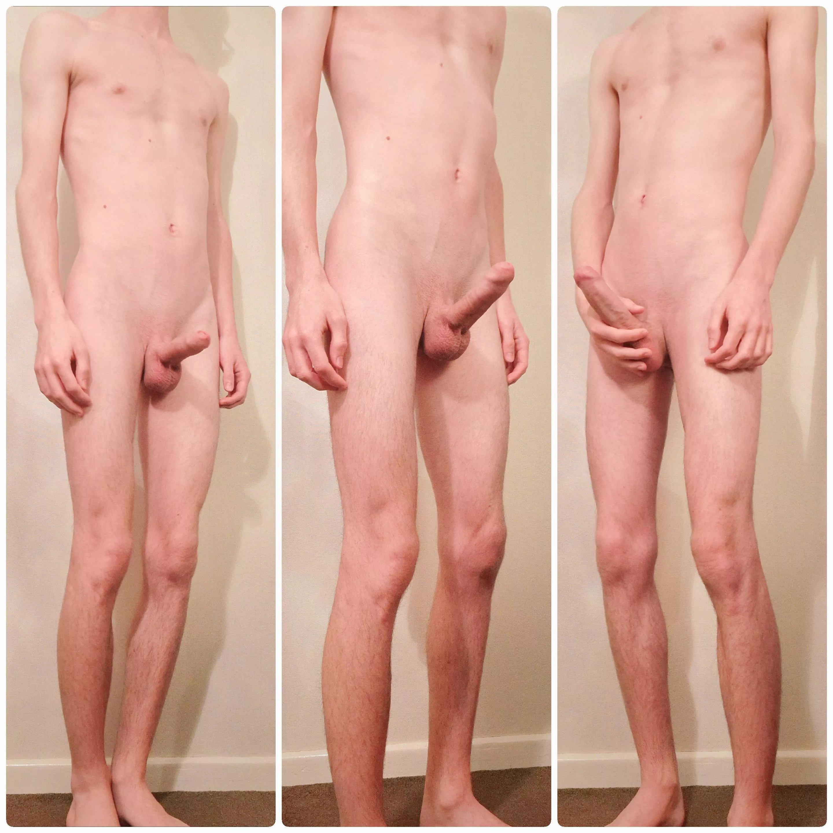 Which is best? posted by Raytracer5