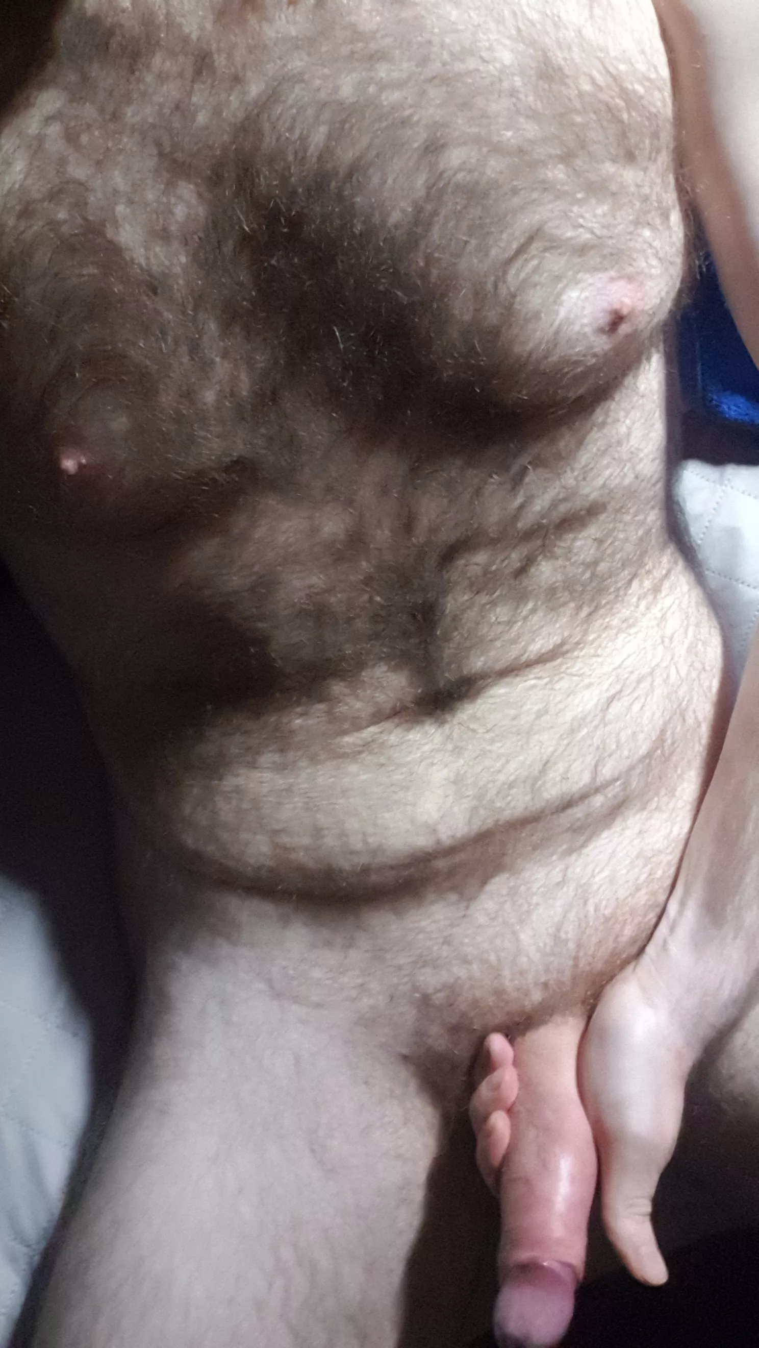 Who wants a piece? posted by Micha_D22765