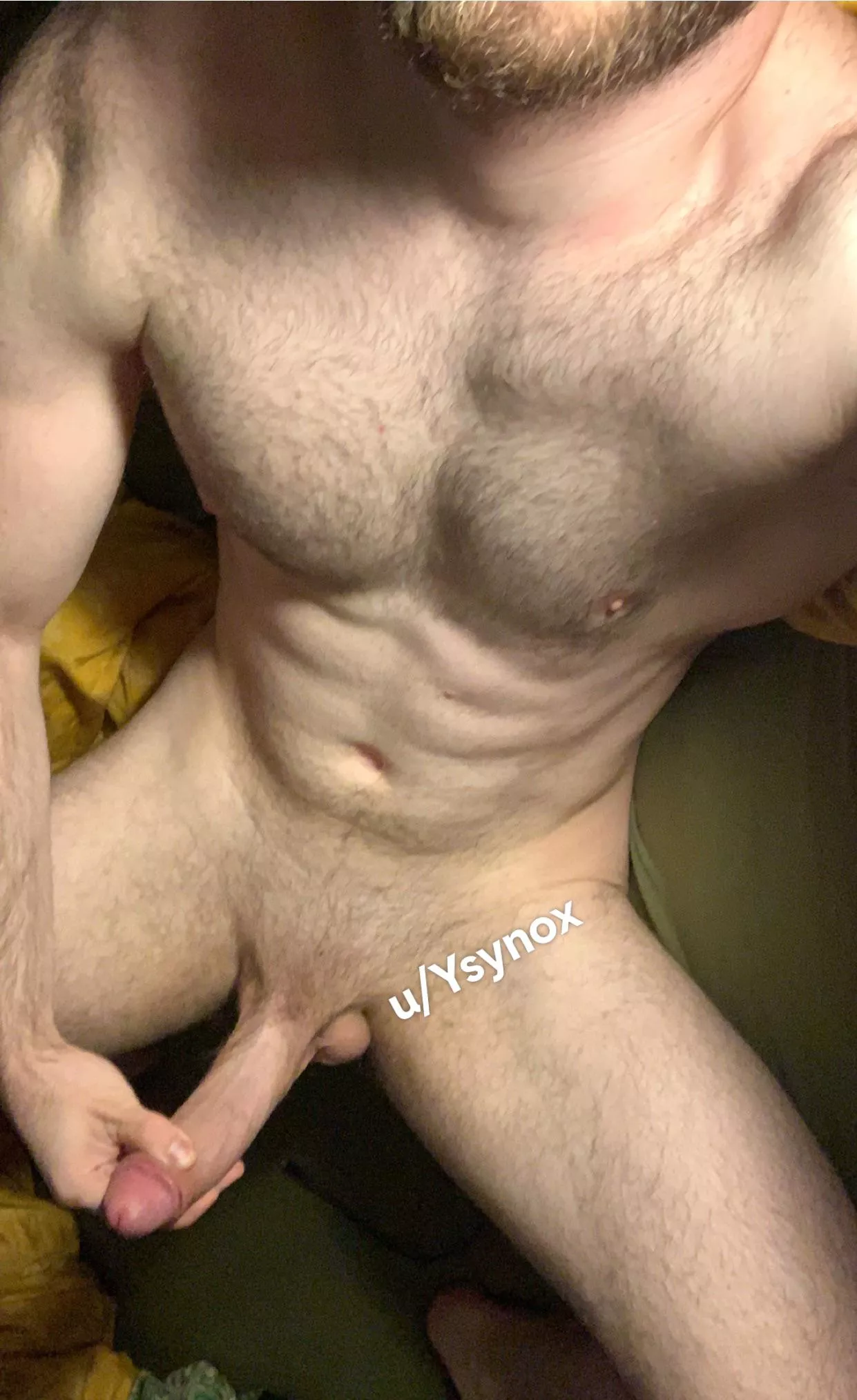 Would you let a fit German guy breed you?🇩🇪 posted by Ysynox