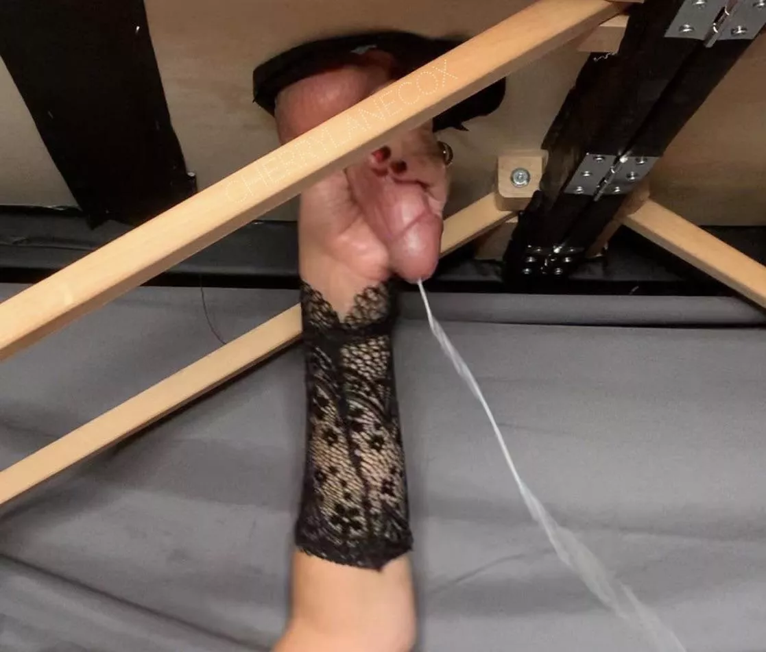 Would you let me decide when you get to cum? posted by CherryLaneCox