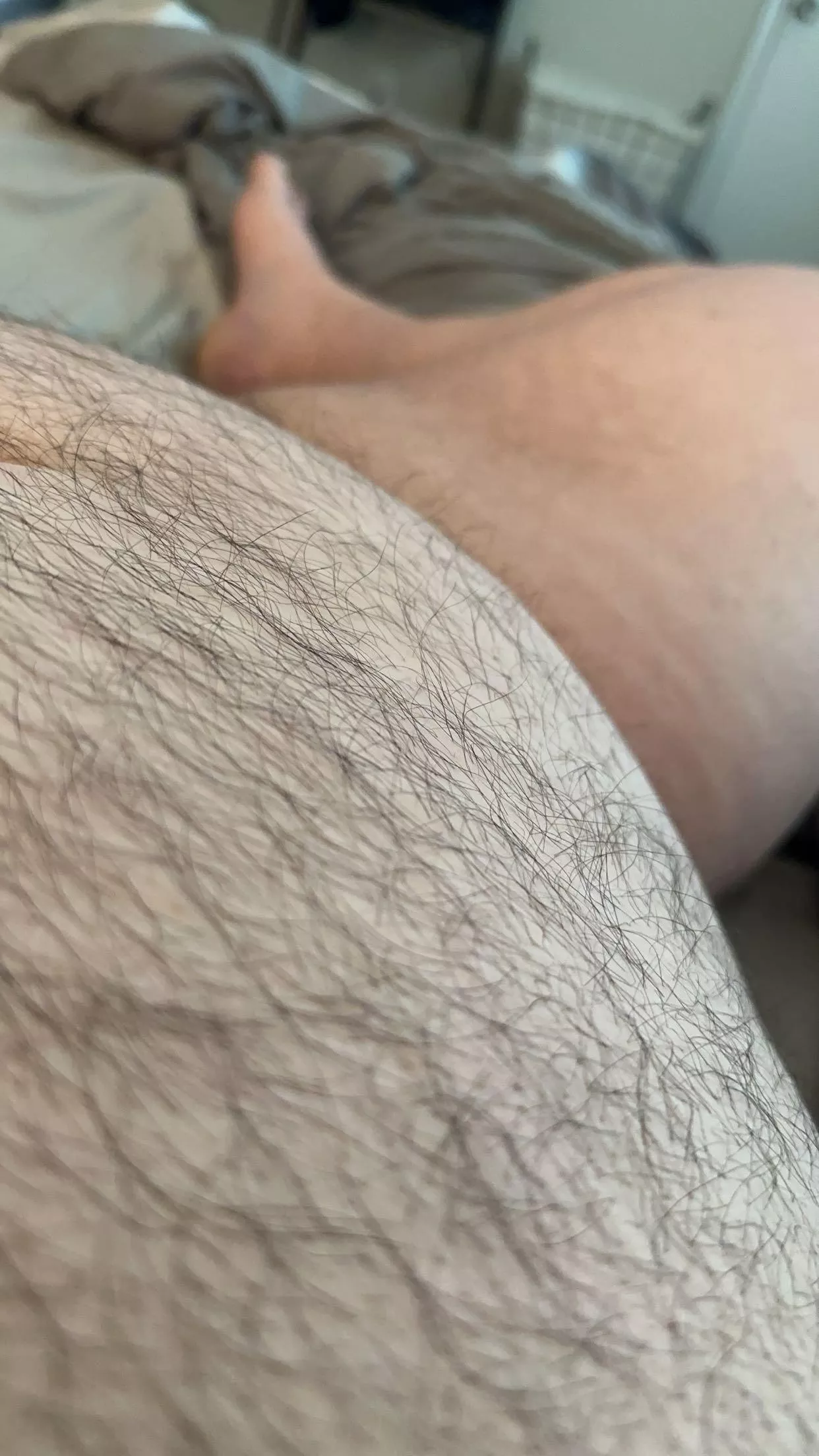 25. Someone said you liked a big hairy belly. I'm sure you'll enjoy what else is down there too 😏 posted by domchubbear