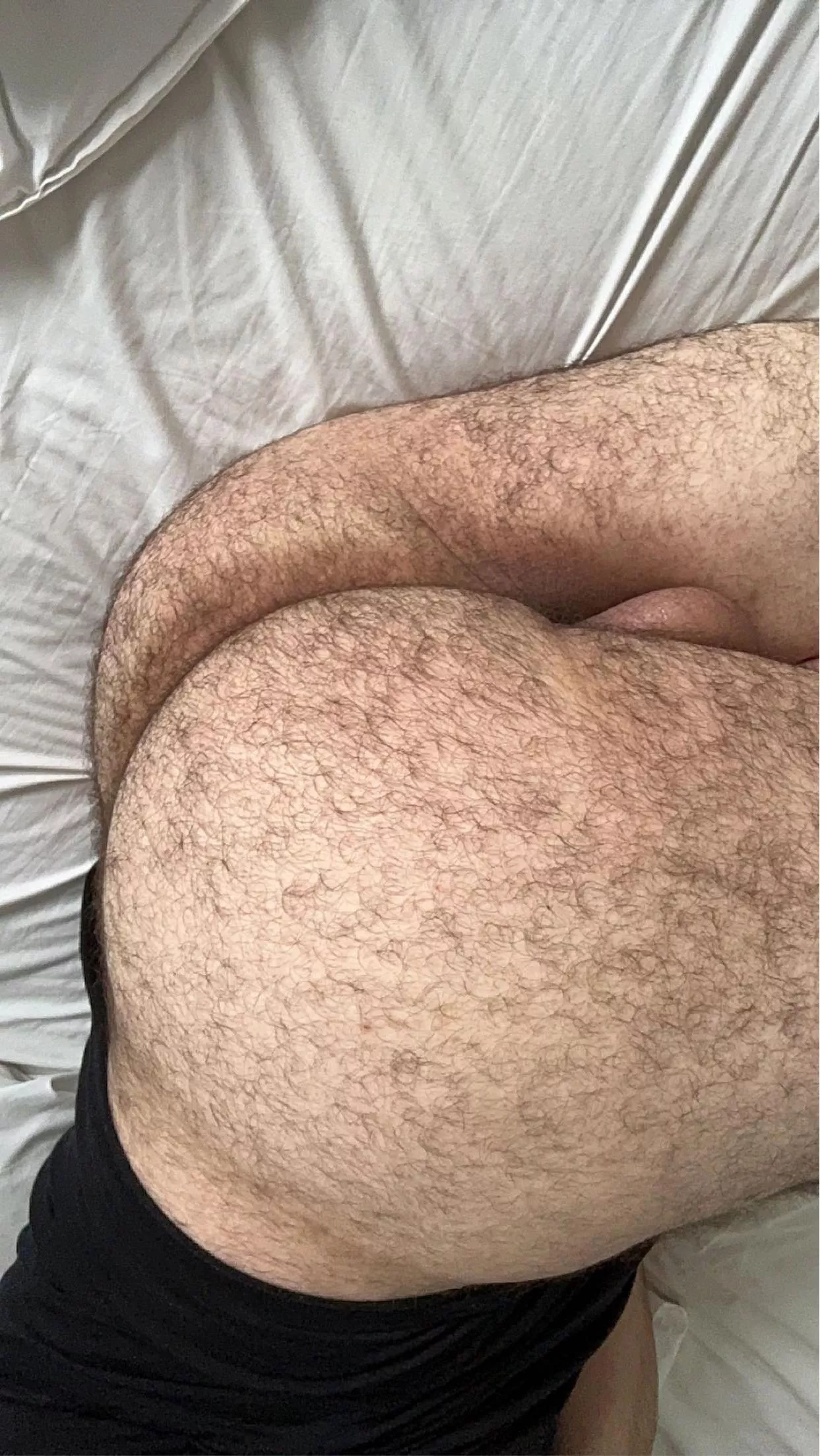 25 who likes it posted by Melbourneguy11111