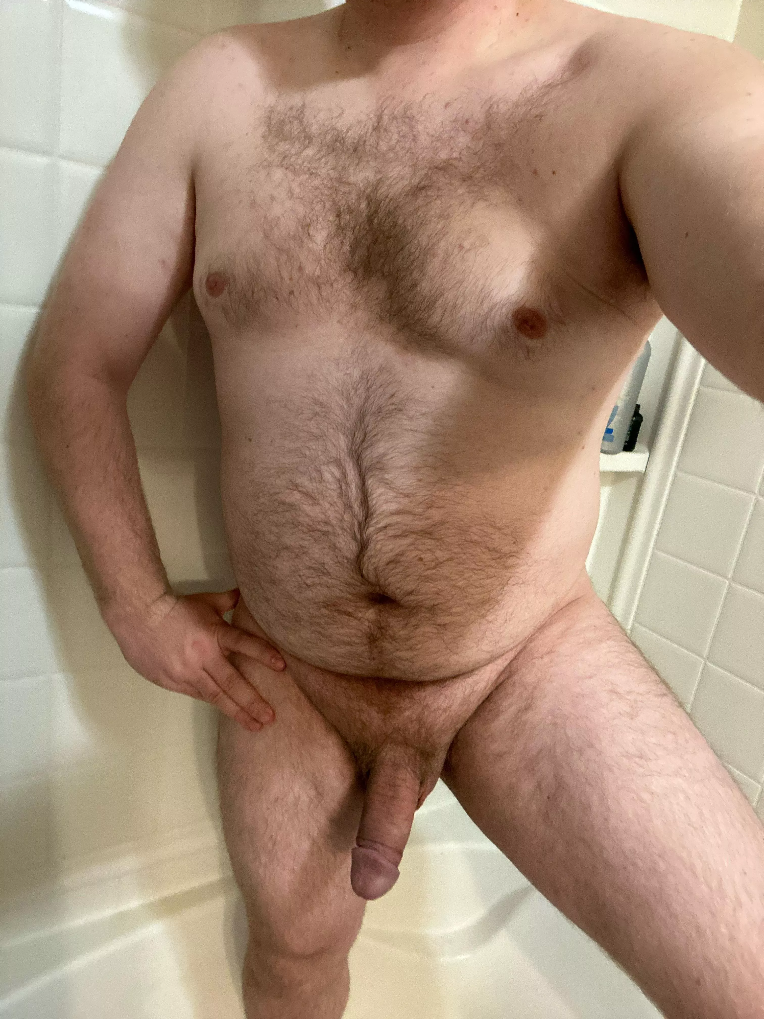 Another day, another bear…Say hi fellas :) posted by Royal_Custard_7985