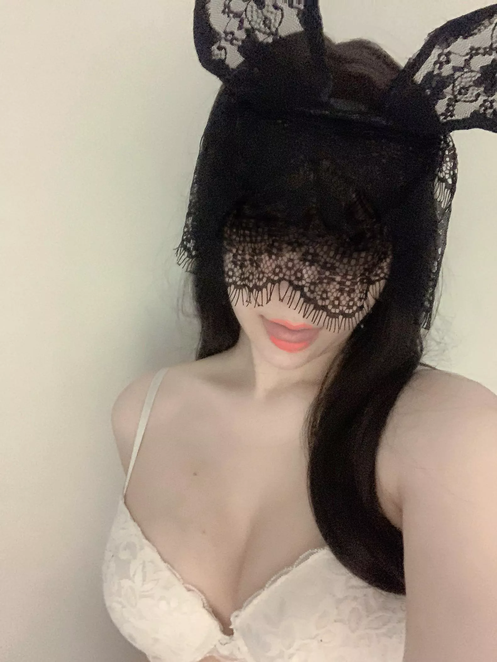 are you looking to adopt a cute bunny posted by UsedPmelo