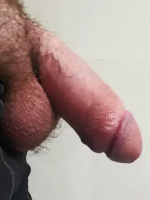 Casual 7in girth by G-ray42