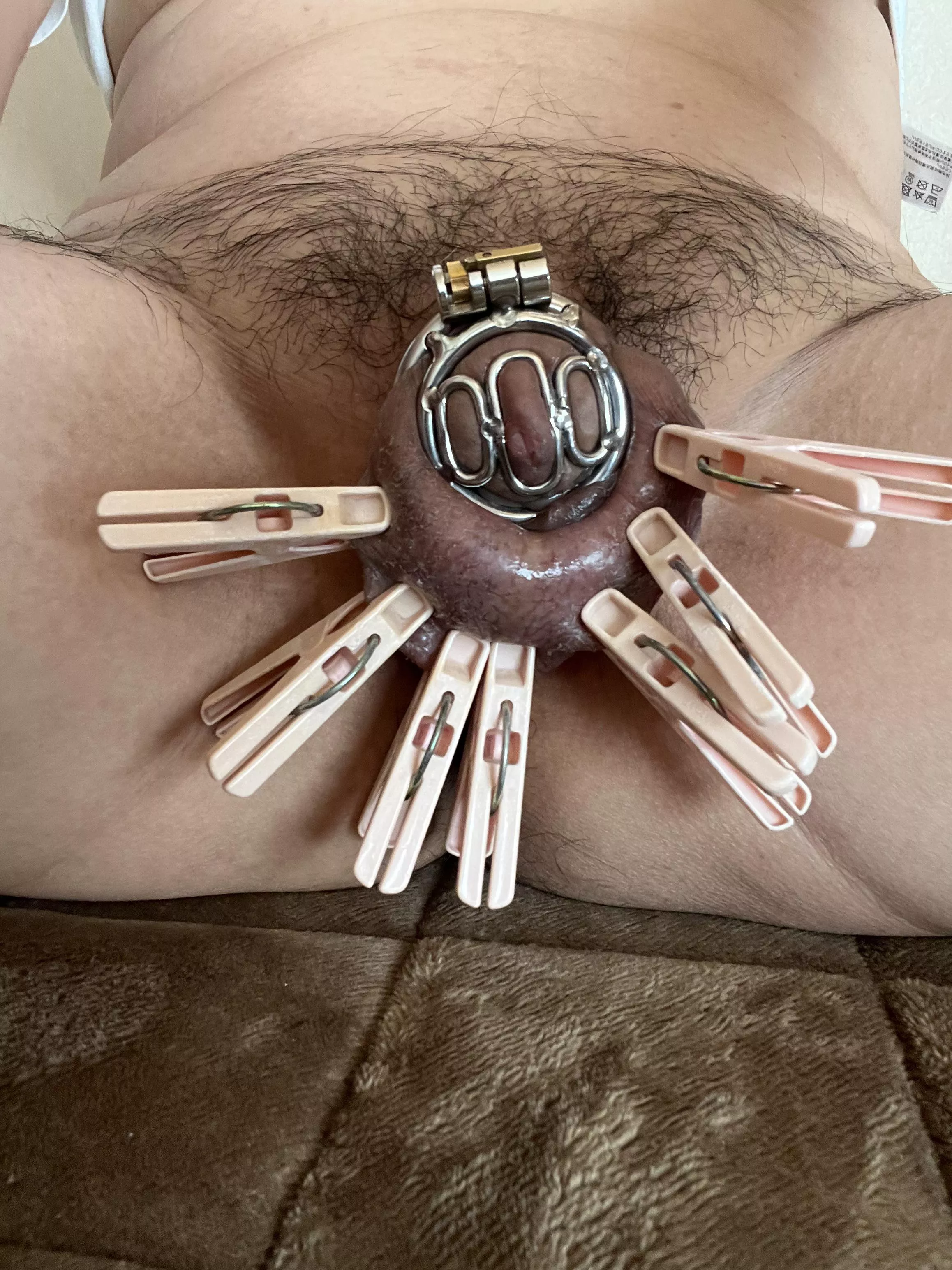 clothespin chastity posted by No-Professional-6422