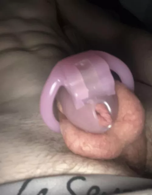 First time locked (19 virgin) by WaltzNational7503