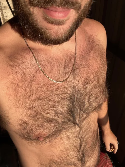 Good morning, say it back by BoMaverick