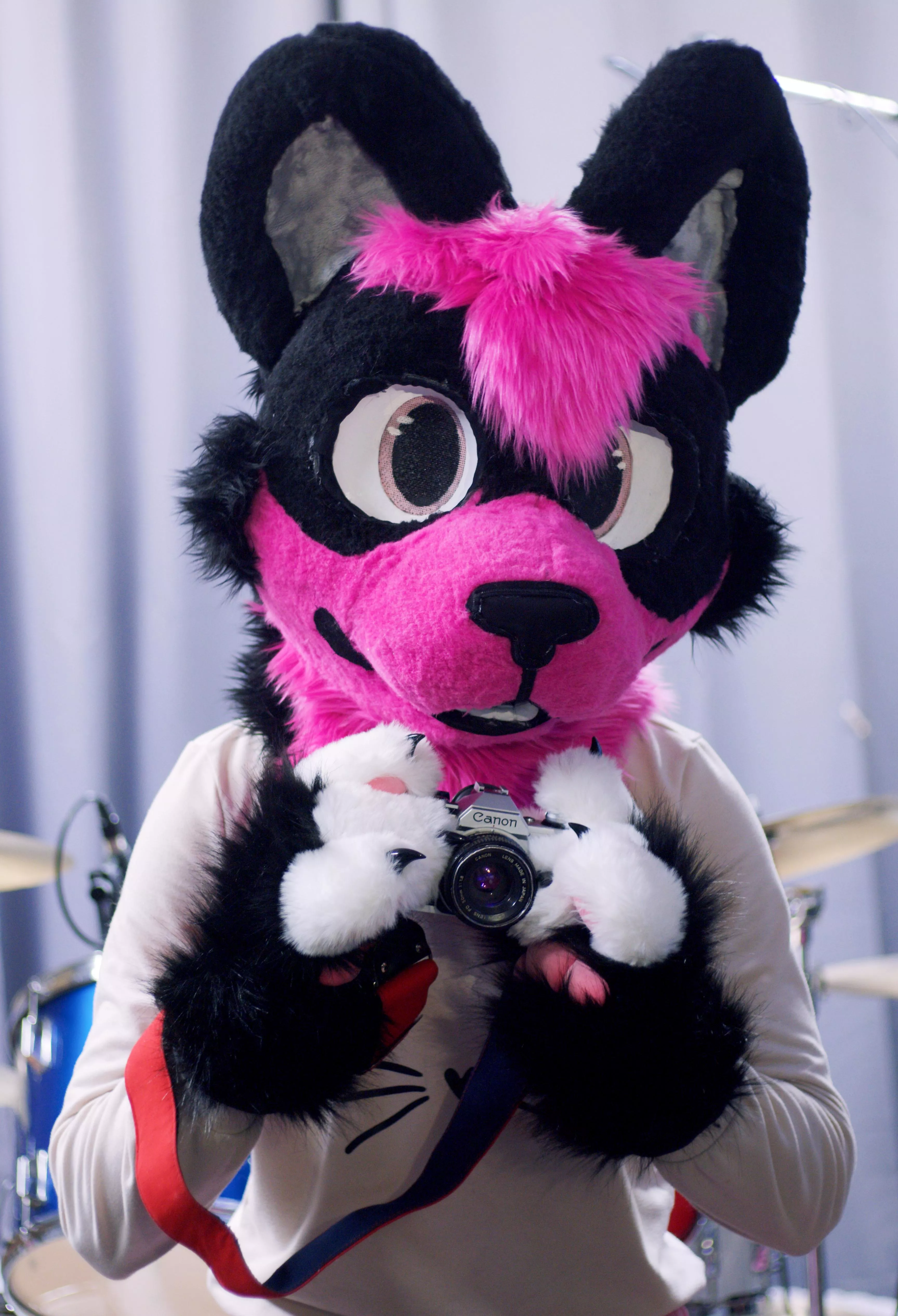 Hewwo! Can I take your Picture? posted by ColinTBC