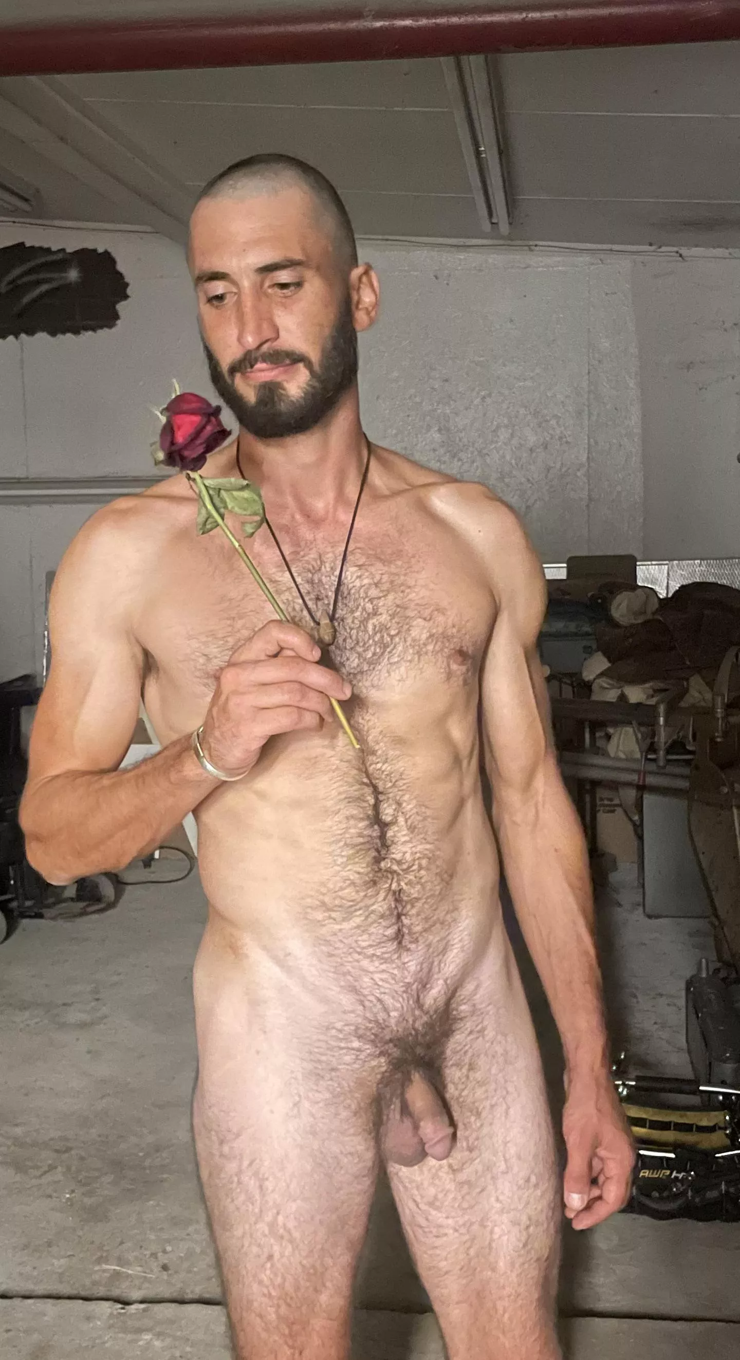 It’s my birthday, but the rose is for you posted by ReverentHeretic