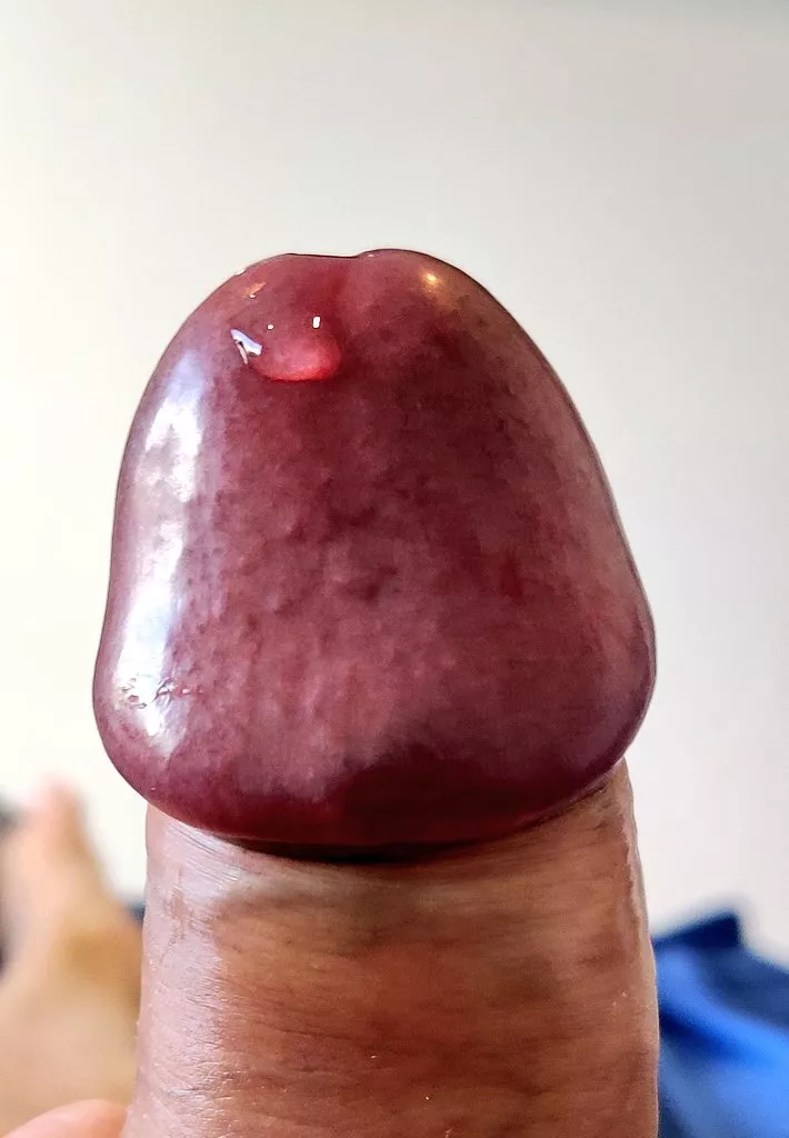 Just a dribble posted by Taihen00