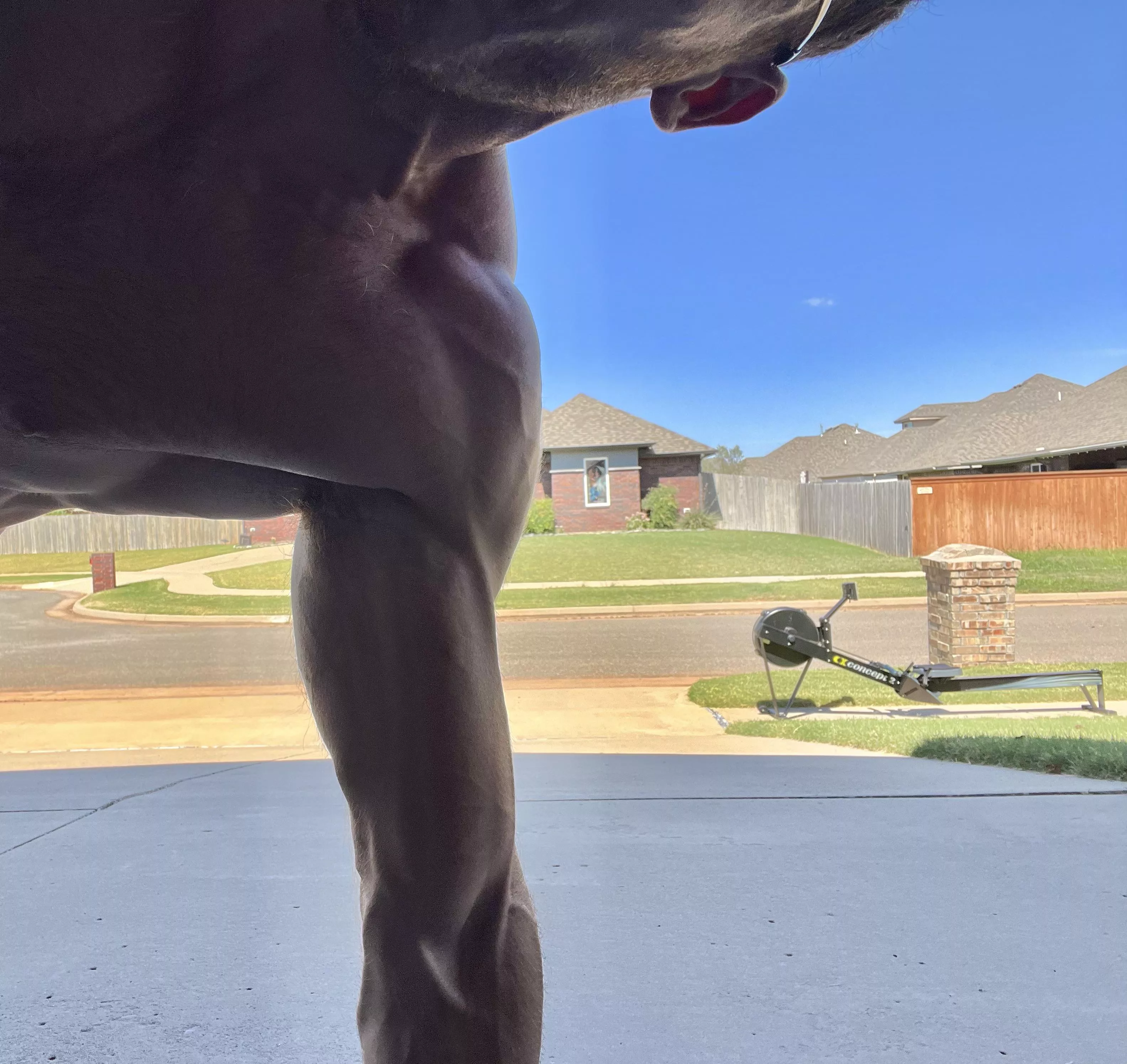 [M] shoulder veins are fun posted by thrownaway9386