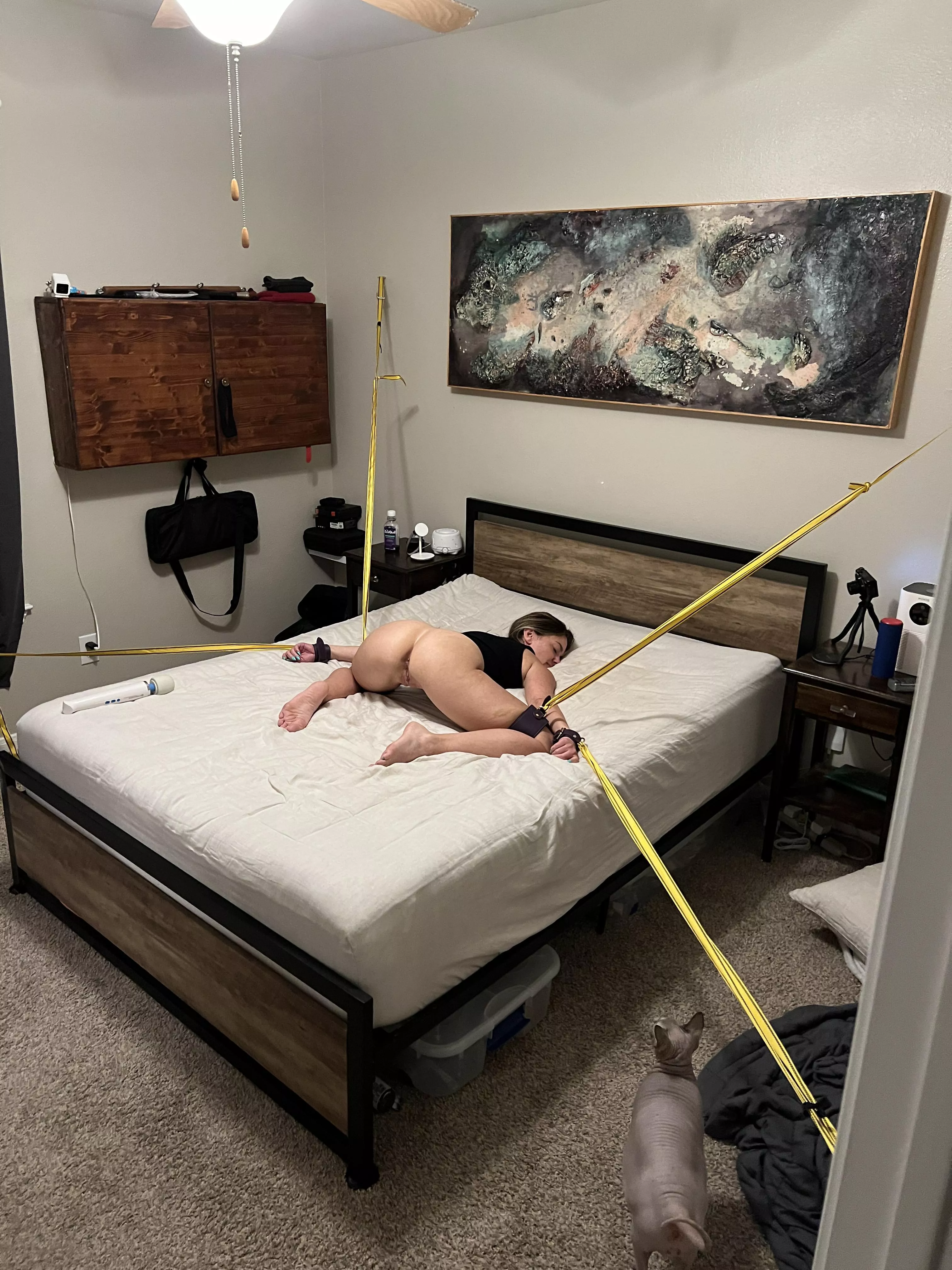 Made useful posted by Dame_n_eva