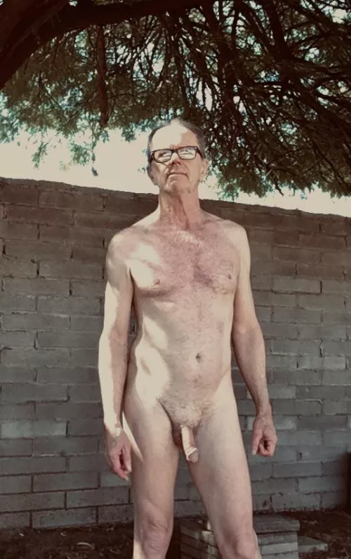 Nice morning in my backyard. by Bill779