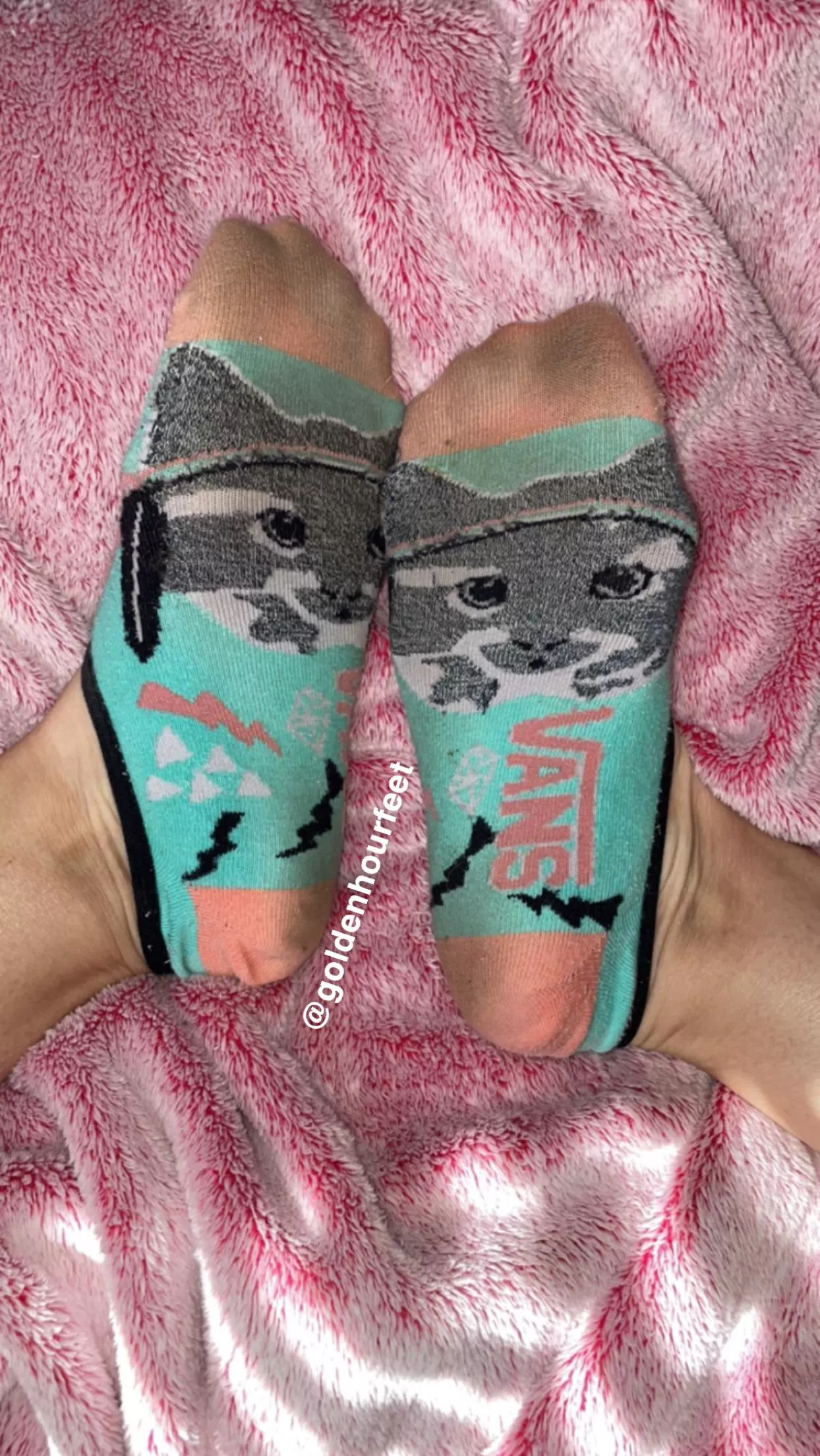 [selling] smelly no show socks🔥 posted by goldenhourfeet