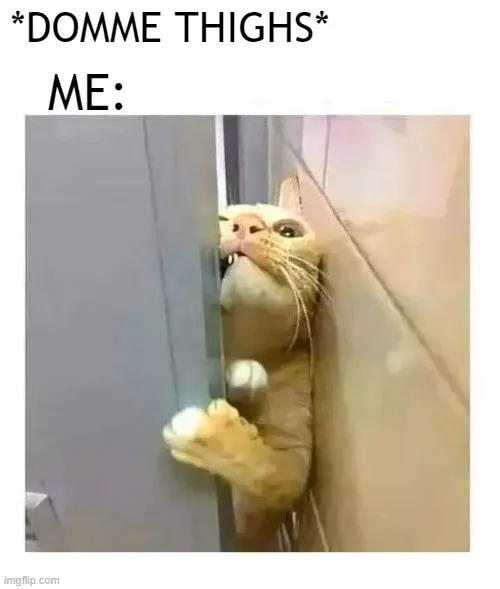 Squeeze lol posted by Dillon_Trinh