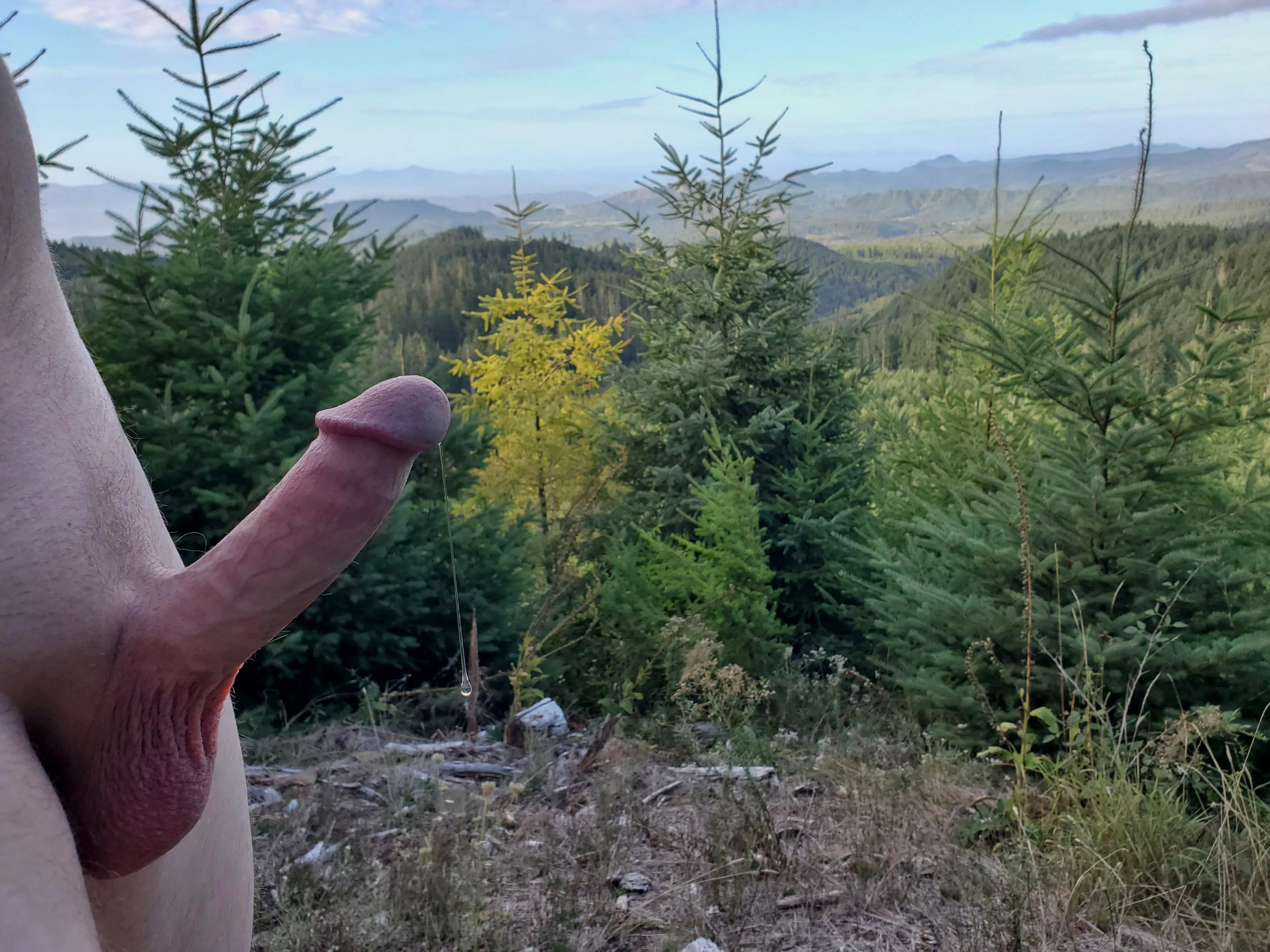 Starting the day off right posted by NetflixQ4