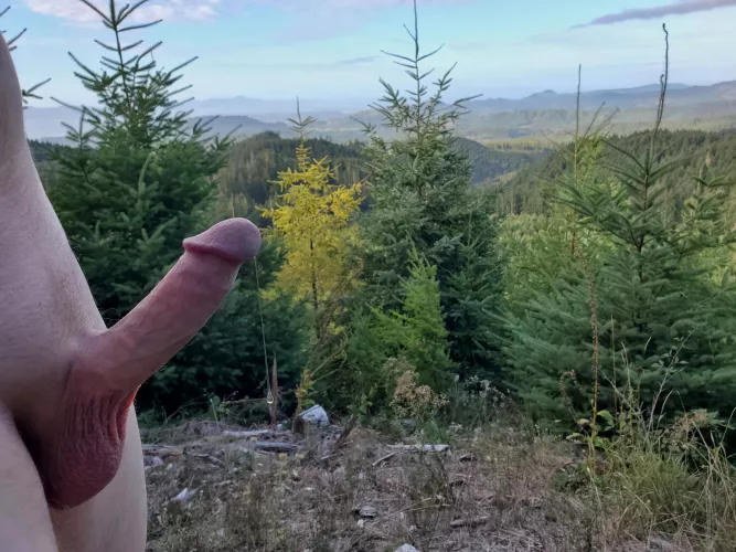 Starting the day off right yet again by NetflixQ4