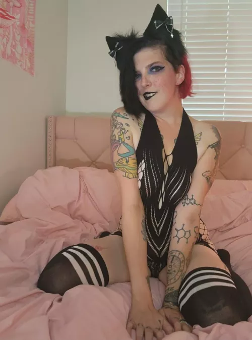 This naughty kitty is back. by novayournymph